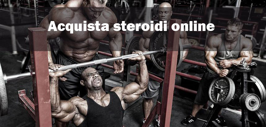 anabolicstation.org